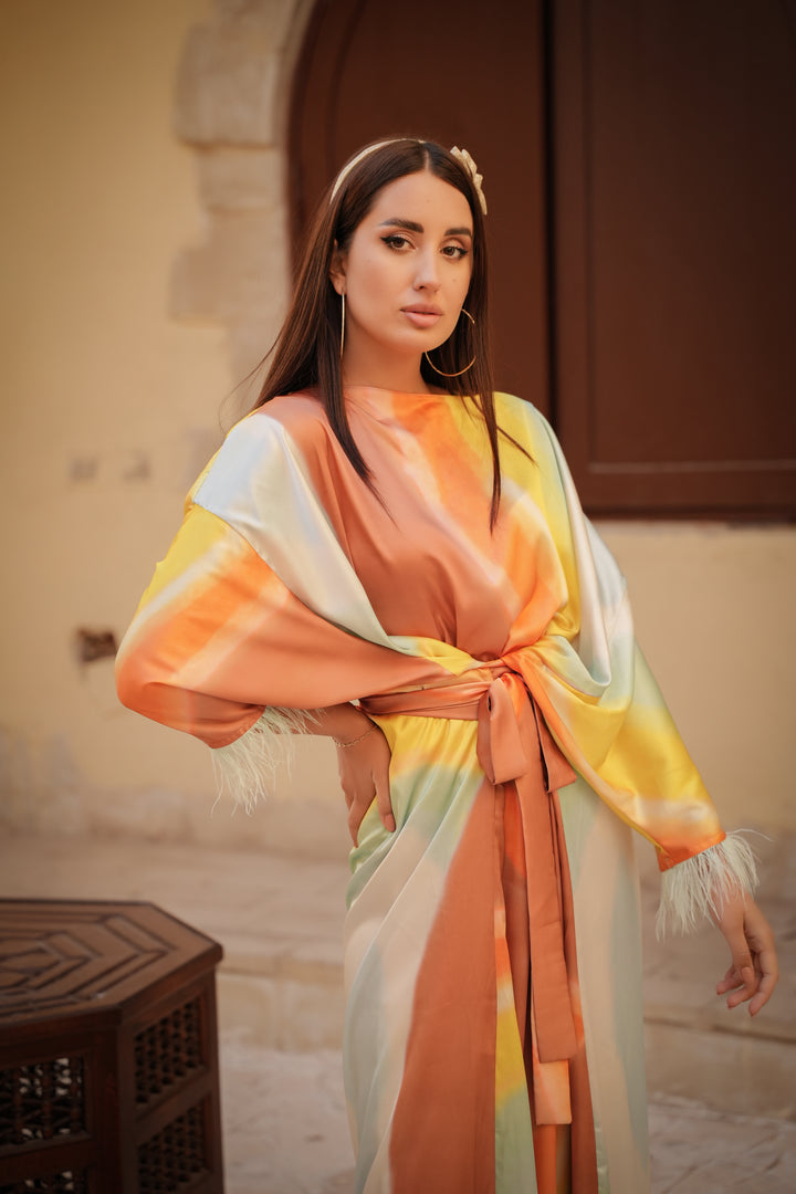 satin princess dress  with feathers