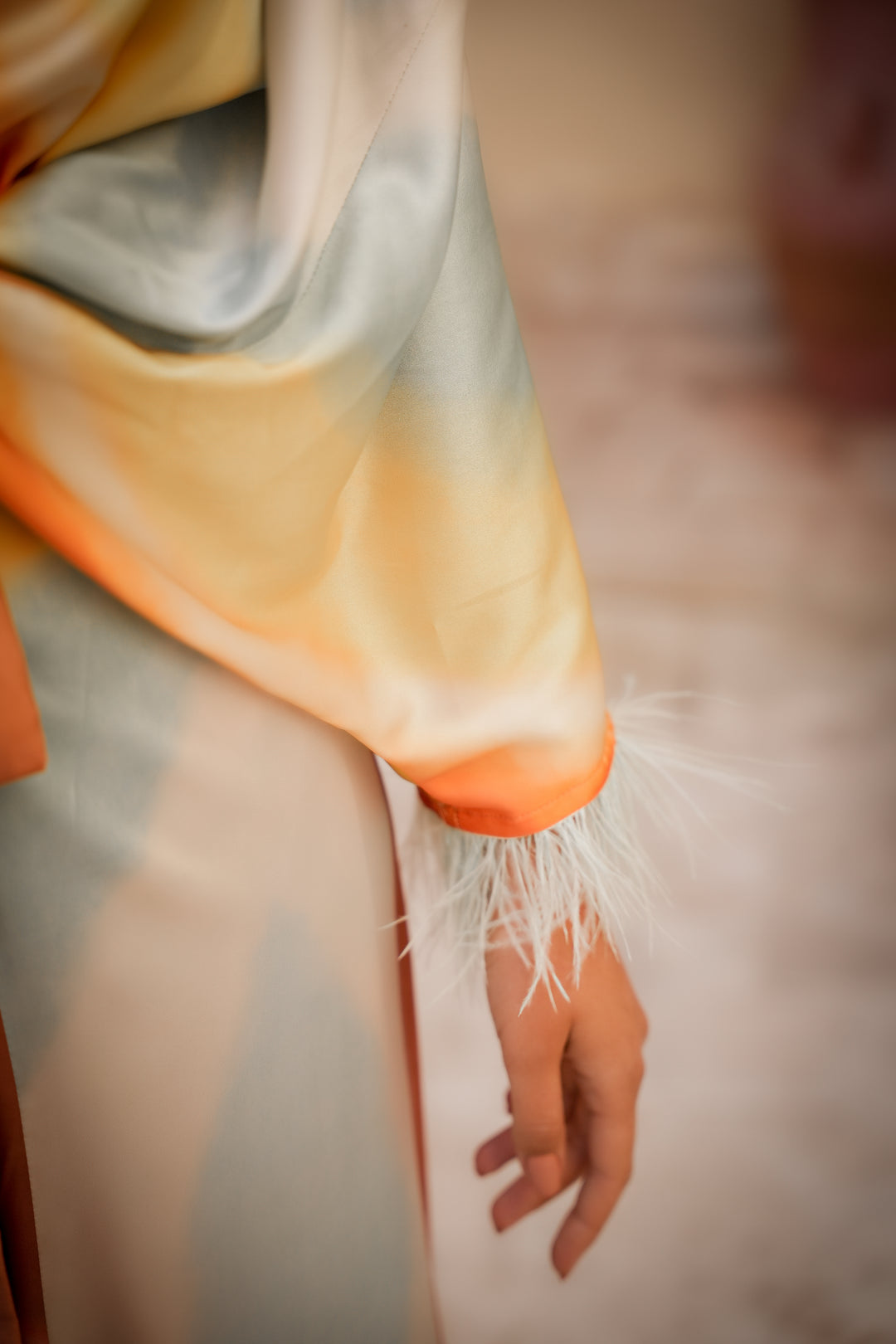 satin princess dress  with feathers